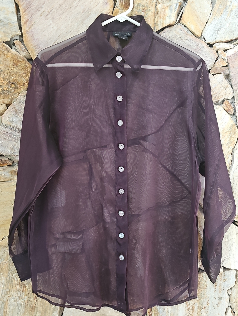 Sheer Plum Long-Sleeve Button-Up Shirt -